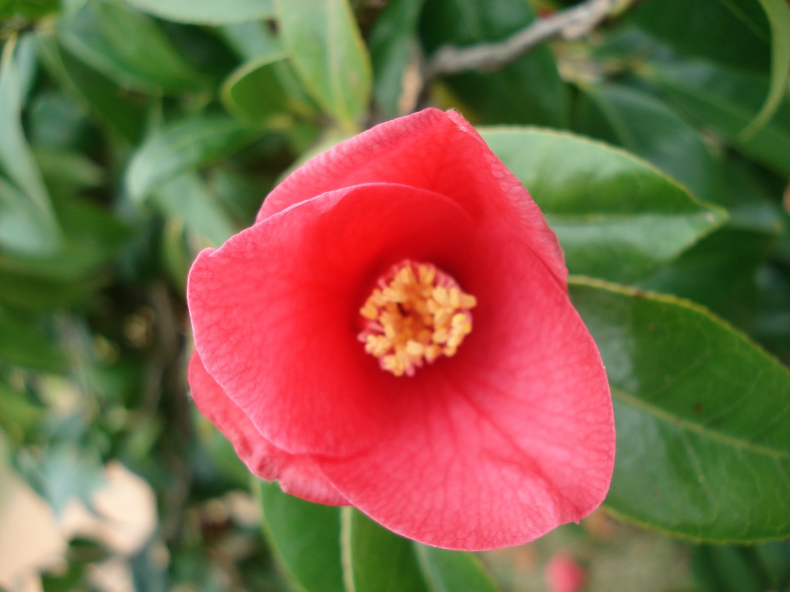 [DSC02233.JPG]