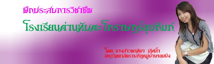 การฝึกประสบการณ์วิชาชีพ