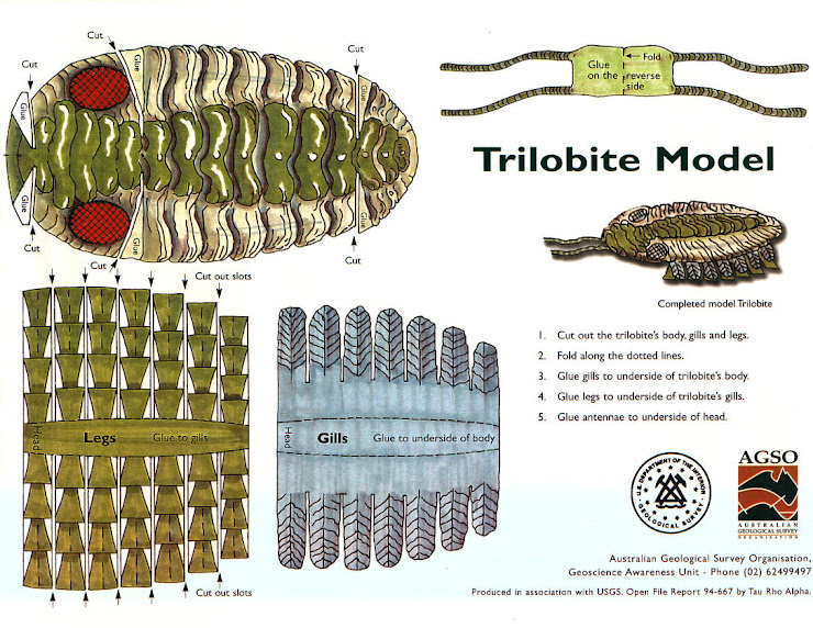 info trilobit