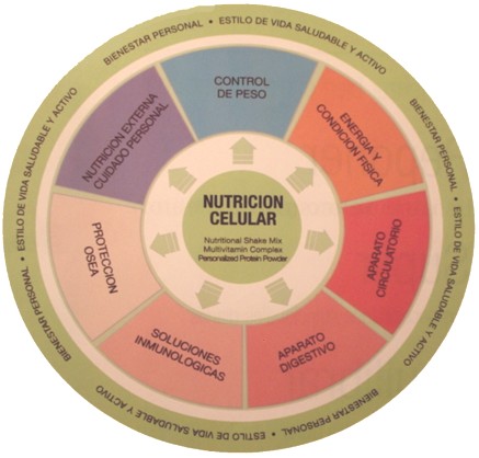 LA SALUD COMO PROCESO FUNDAMENTAL la salud como proceso fundamental: