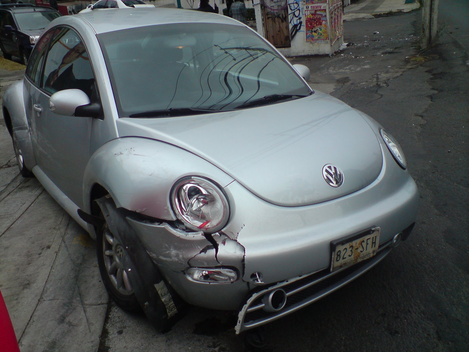 [beetle2.jpg]
