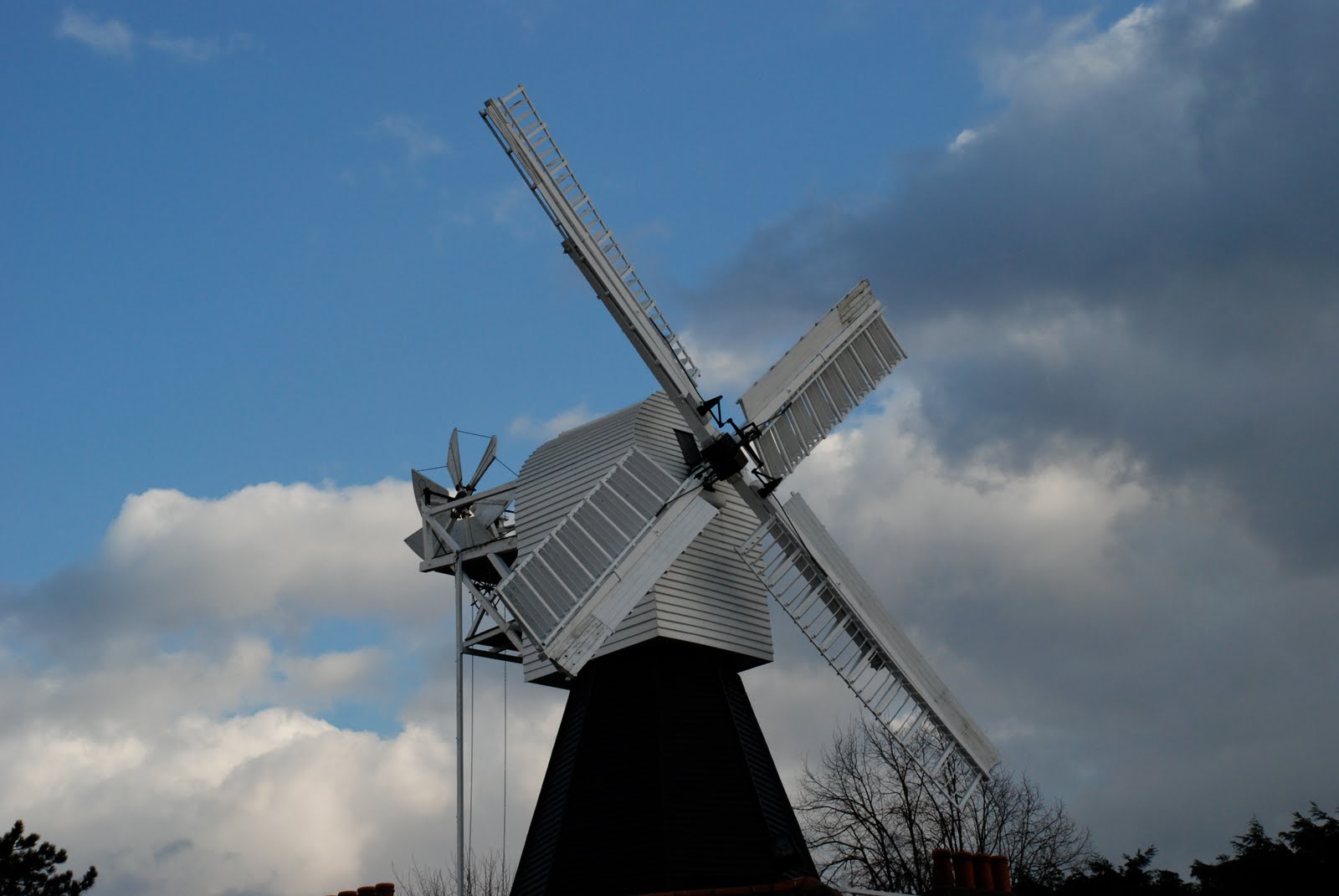 [DSC_0045.JPG]