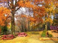 autumn scenery autumn scenery