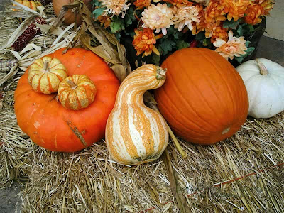 Thanksgiving Harvest Feast