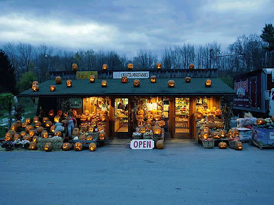 Pumpkins for Halloween