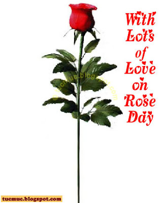 Rose Day Cards