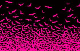 spooky flying bats wallpaper
