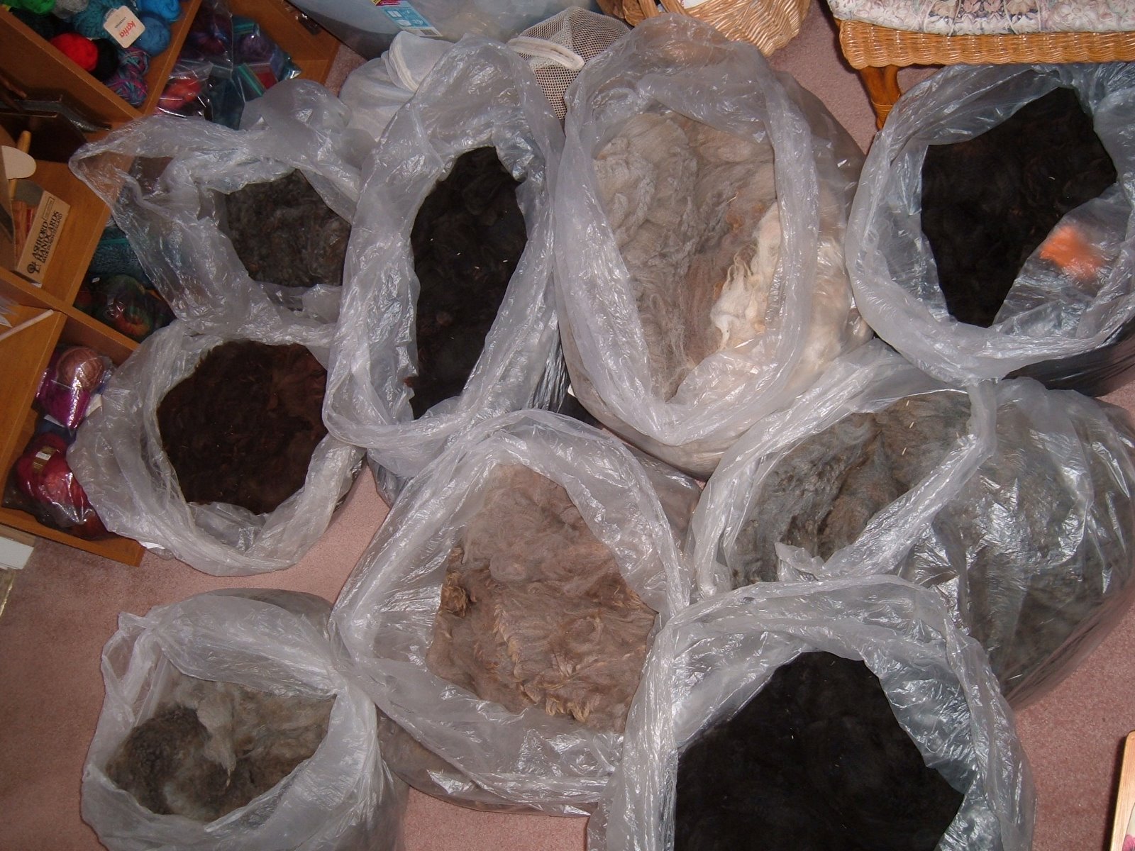 [DSCF1716.JPG]