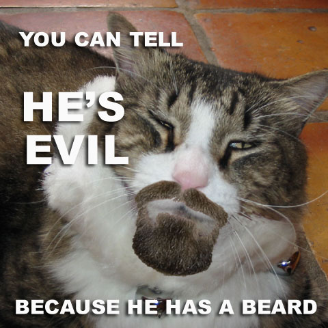 [evil+cat+3.jpg]