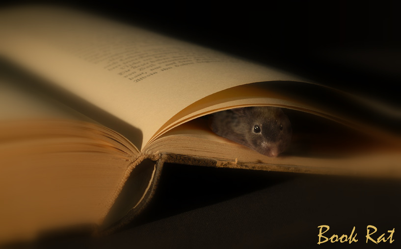 [book_rat.jpg]
