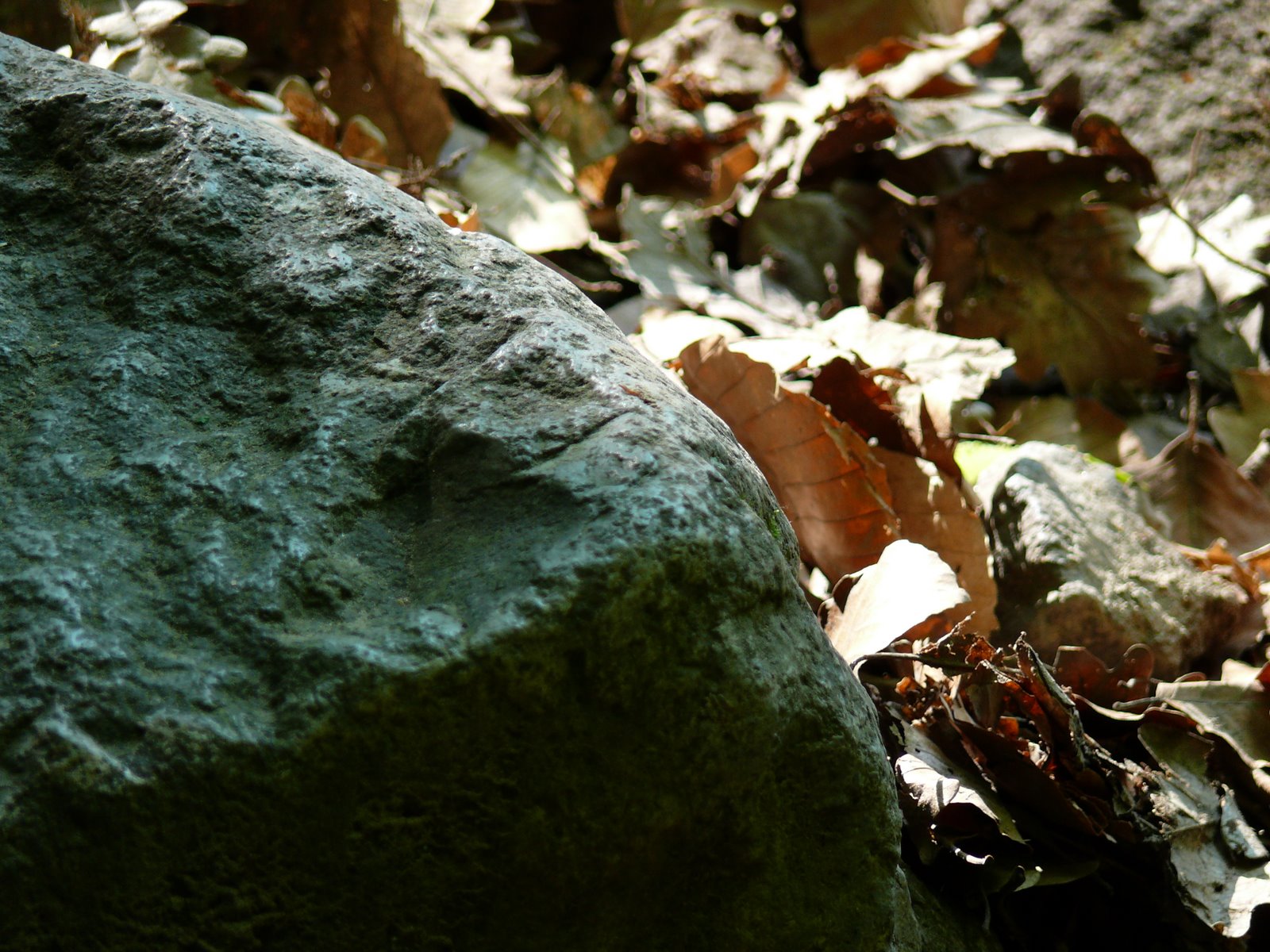 [2008_0512_110038.JPG]