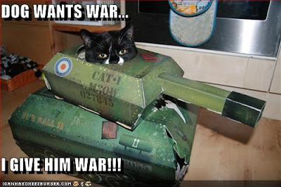 War+Cat.jpg