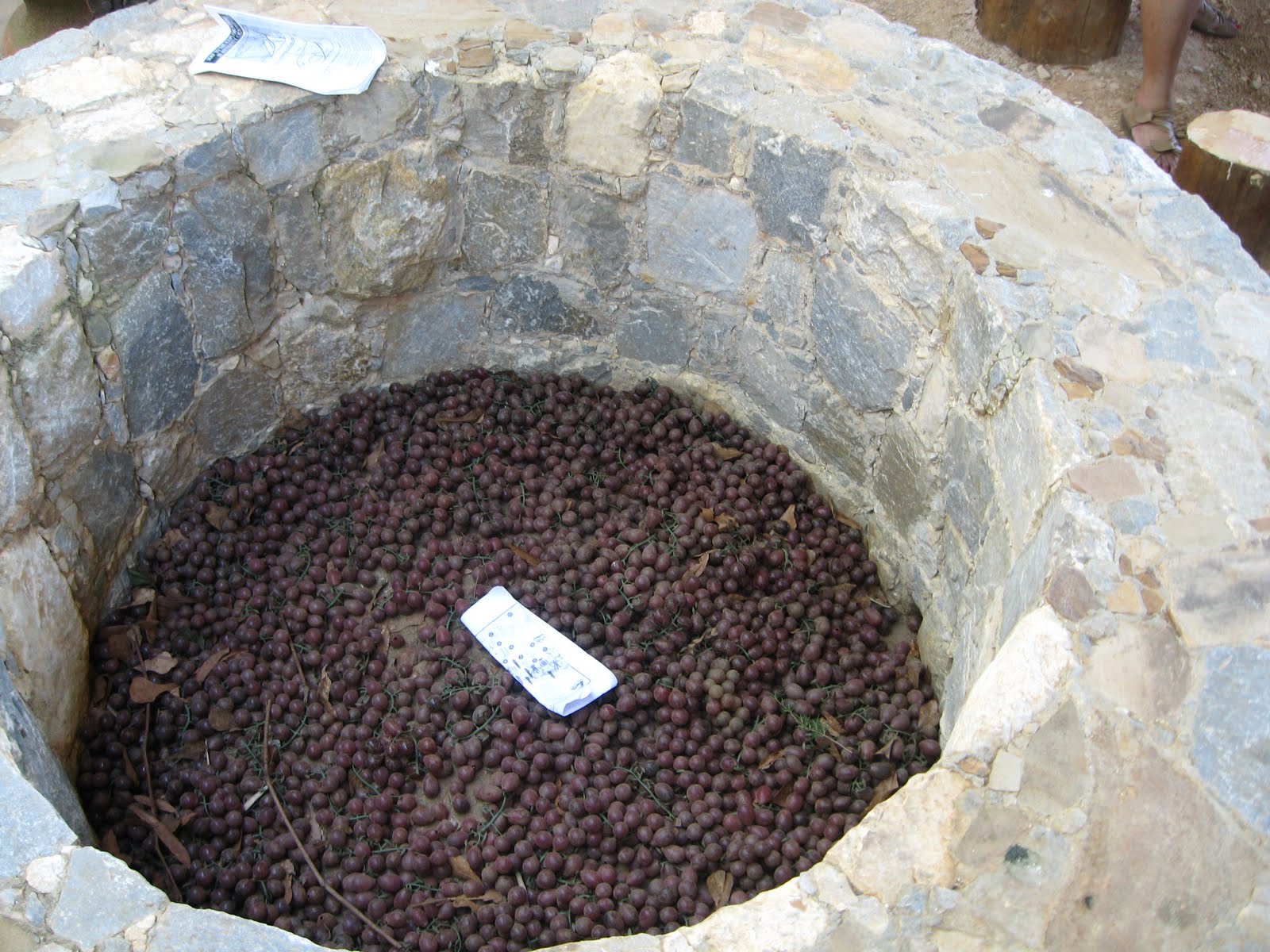 CING Exploration in Antiquities Center part I