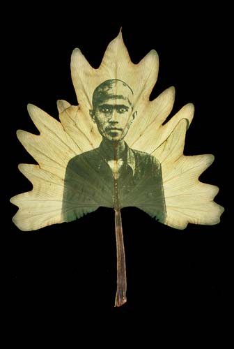 [binh_danh7682lg.jpg]