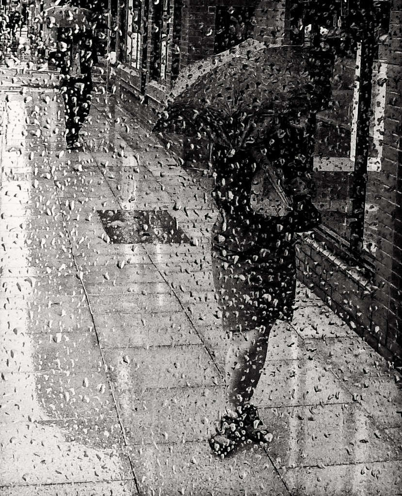 brett walker military brett walker military