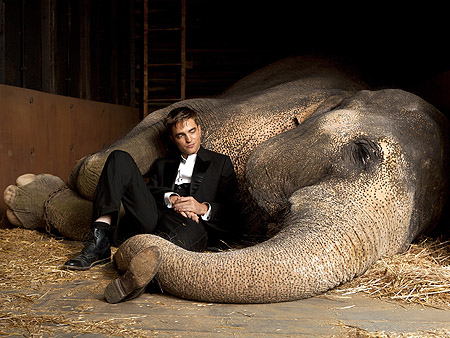 11-FEBRERO- Water For Elephants: Circo, Maroma, Amor y una Elefanta  Water+for+elephants+promo