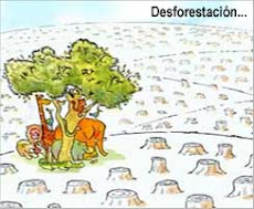 LA DEFORESTACION