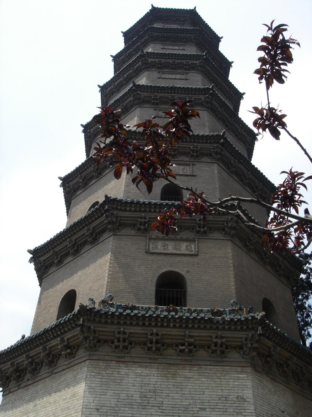 [DSC03665.JPG]