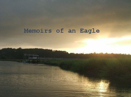 Memoirs of an Eagle