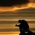 My photo