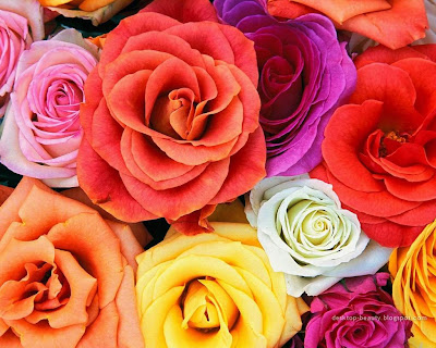صباح الخير Love+Blooms+Roses,+Bunch+Of+Flowers