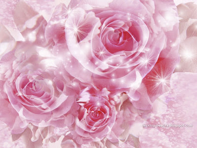 لكل الادارة والمشرفين الاعضاء Pink+roses