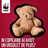 WWF Romania: Adopta un urs!