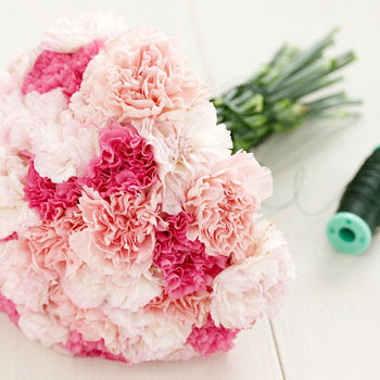 carnations%5B2%5D.jpg