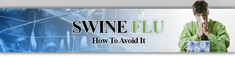 swine flu resources - tips and information