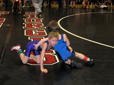Two Monkeys Wrestling