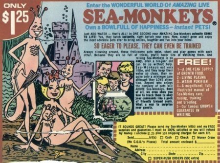 [seamonkeys.jpg]