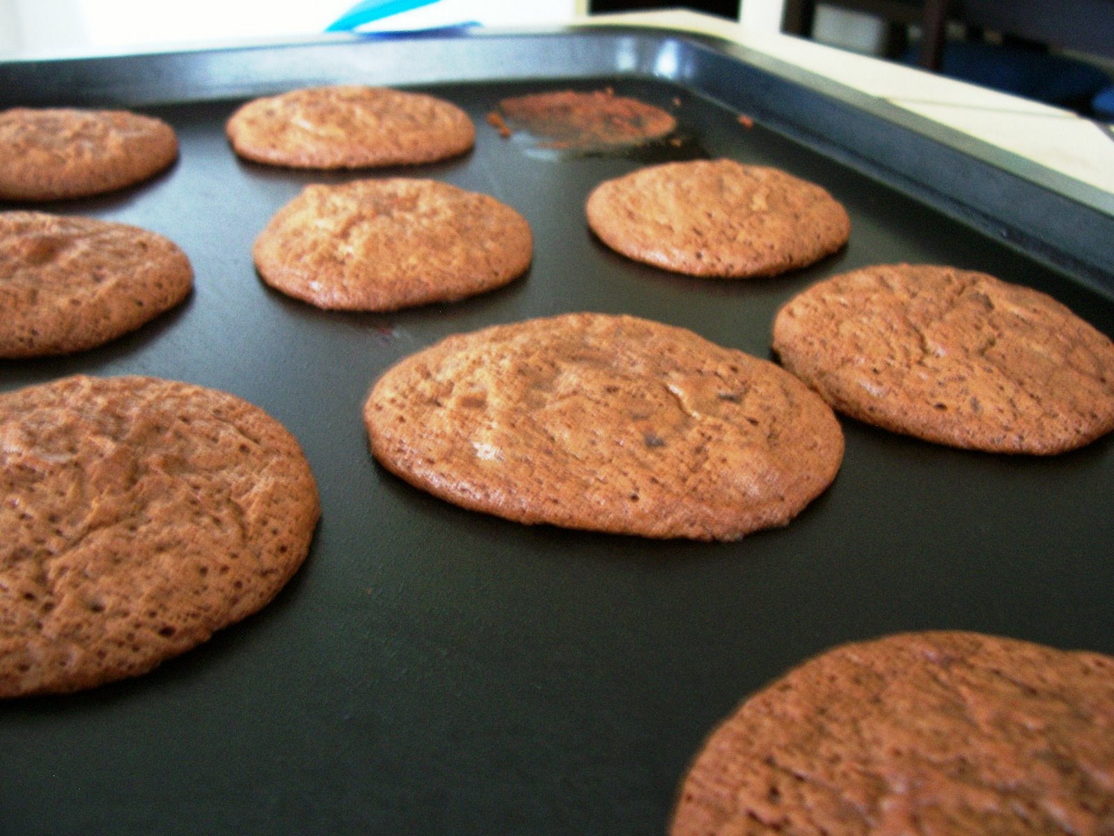 [Shiny+Happy+Cookies.JPG]