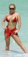 Качественные фото сексуальной модели Nicole Coco Austin Фото модели Николь Остин - качественные фото Nicole Coco Austin