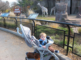 At the Milwaukee Zoo