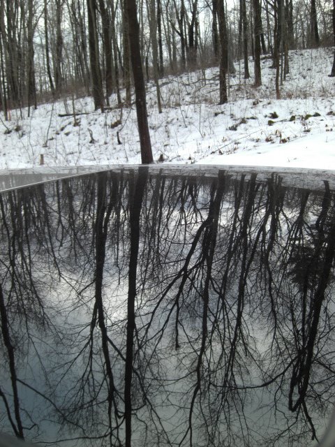 [CIMG0932.JPG]