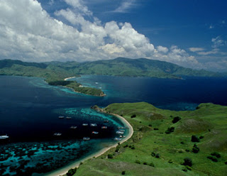 Komodo Island is the NEW 7 Wonders of The World