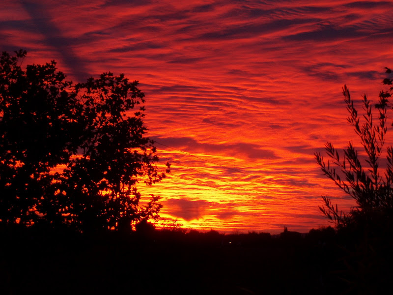 rencontre en psychologie