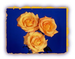 National PIX - Yellow Rose