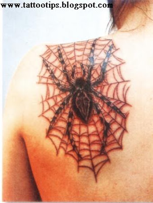 Back Spider Tattoos Photo