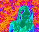 My photo
