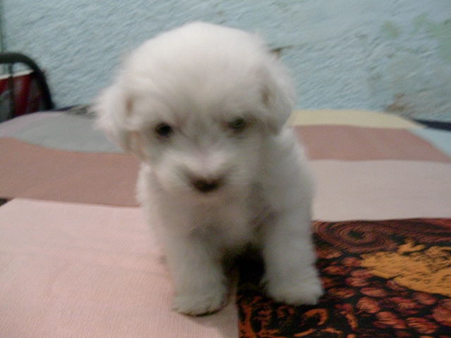 [DSCN5104.JPG]