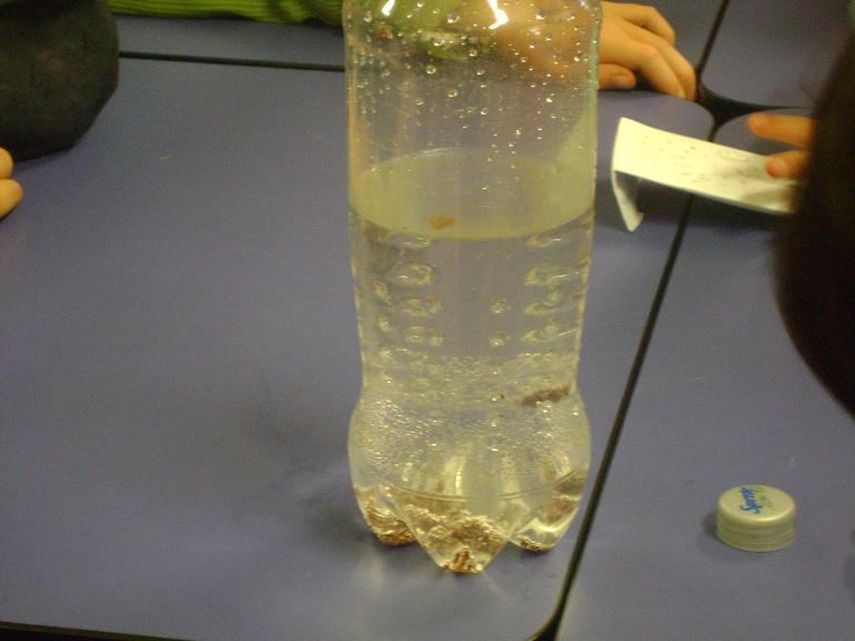 Motueka South School Room 7 Dancing Raisins