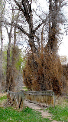 Medicine Lodge State Archaeological Site, Hyattville, Wyoming