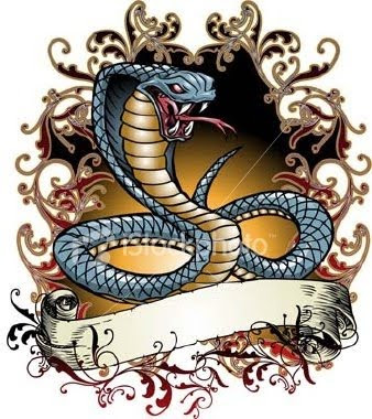 How To Draw A King Cobra Snake enlarge. Cobra Tattoo Picture.