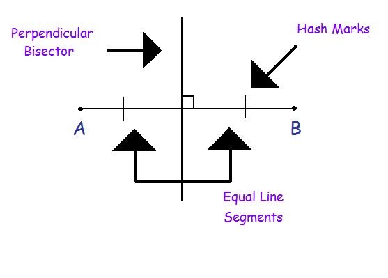 Perpendicular bisector worksheet pdf image