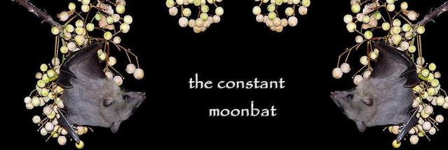 The Constant Moonbat