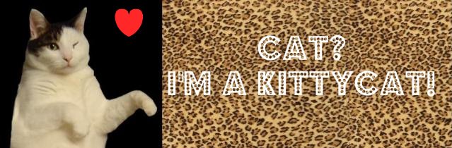 Cat? I'm a KittyCat!