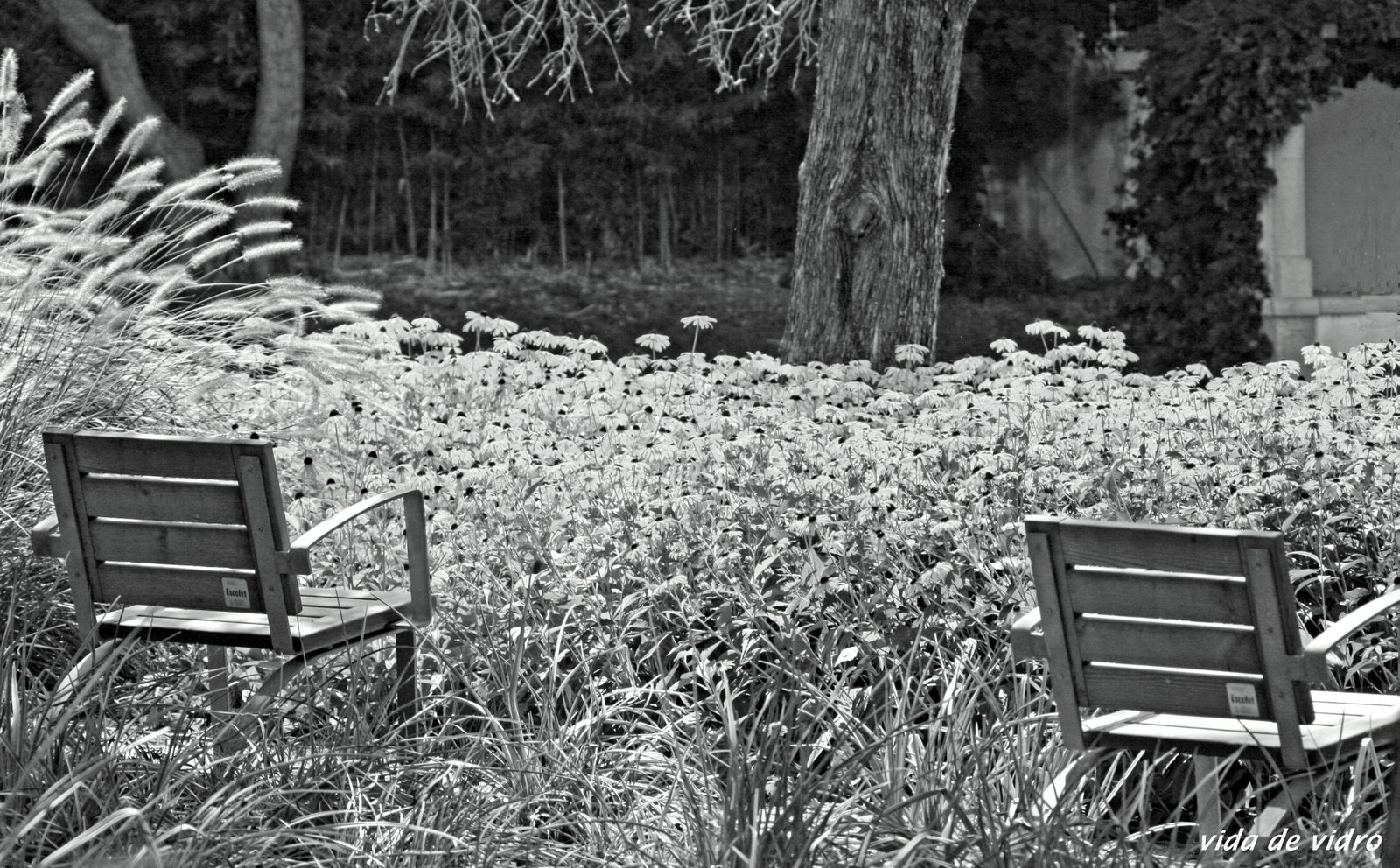 [IMG_2092+copia.jpg]