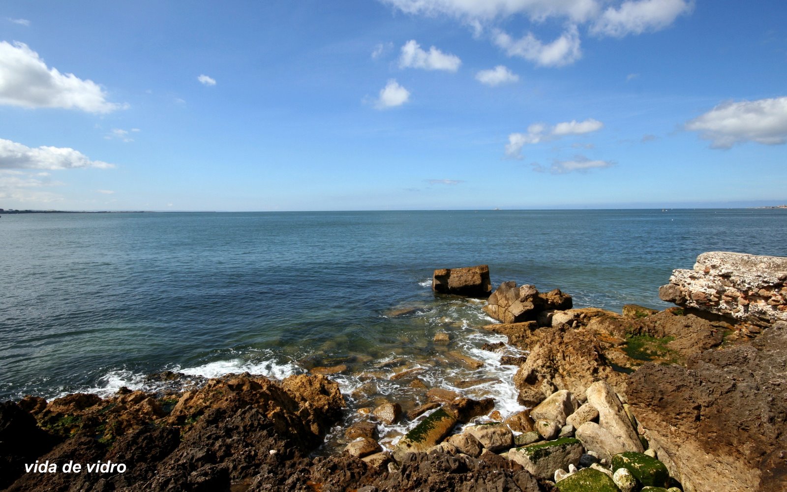 [IMG_0826mod2.jpg]