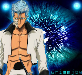 grimmjow jaegerjaquez grimmjow jaegerjaquez